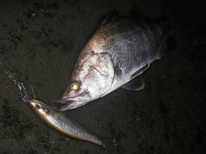 0710601jisakudeakameHP