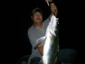 20110910021AKAME80overLL