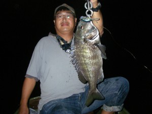 20110910022クロダイ泣５０