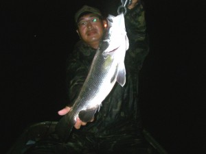 20110910024アカメ60弱」