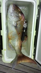 160512_225201-169x300