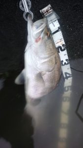 160709_073603-169x300