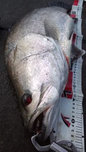 160904_142702-169x300